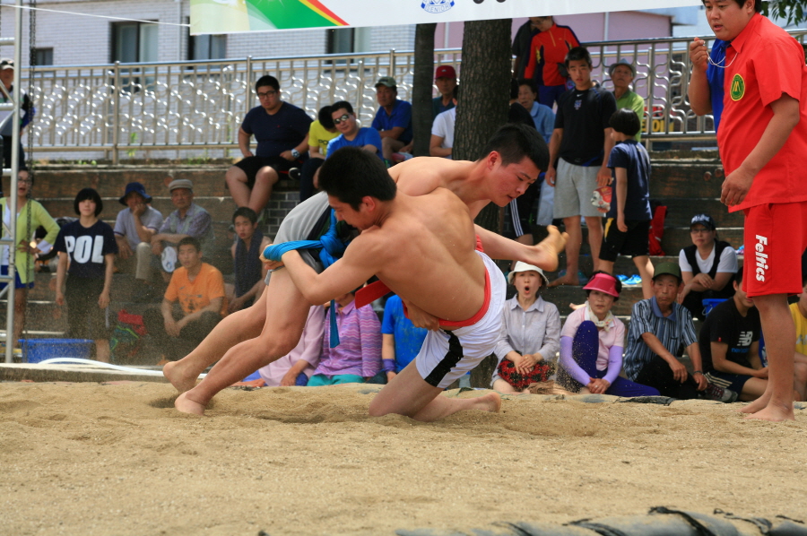 2013씨름대회025.JPG