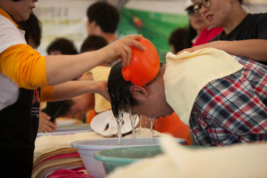 창포1.jpg